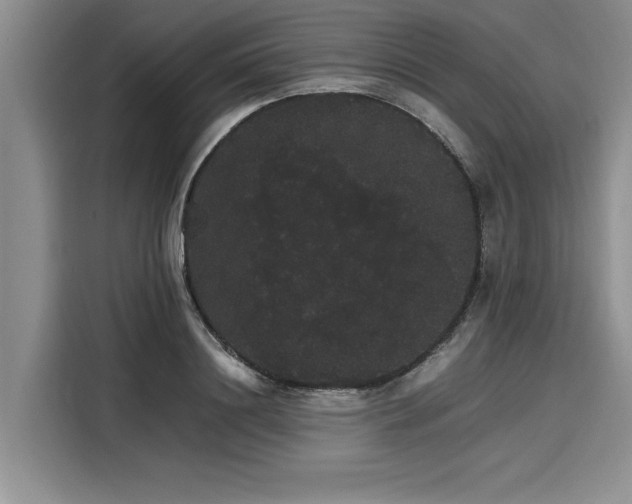 X0000116120844200911301325