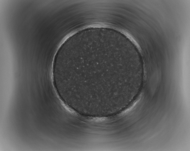 X0000116120845200911301325