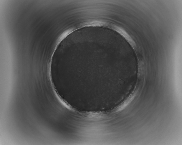 X0000116120850200911301325