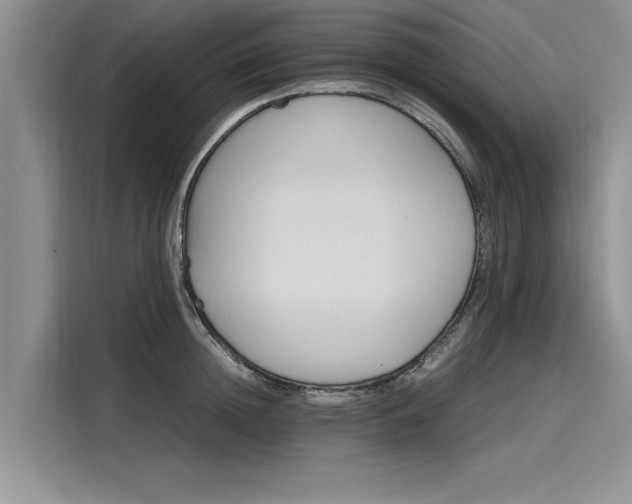 X0000116120852200911301325