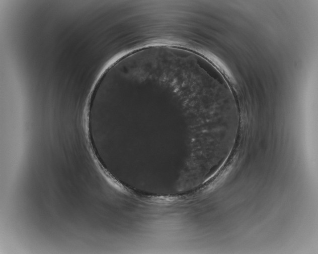 X0000116120854200911301325