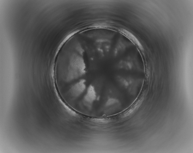 X0000116120855200911301325