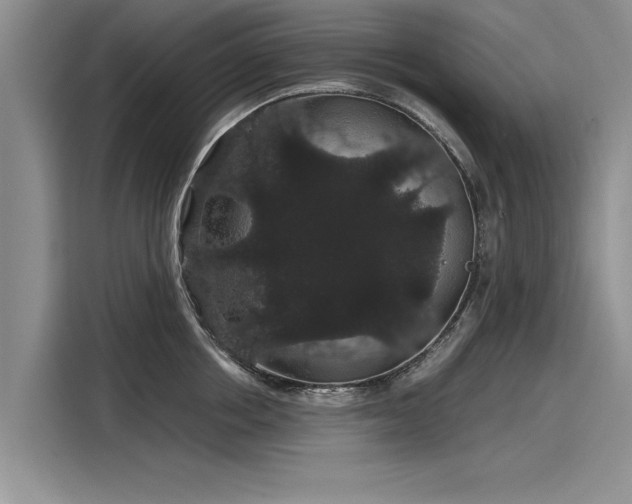 X0000116120858200911301325