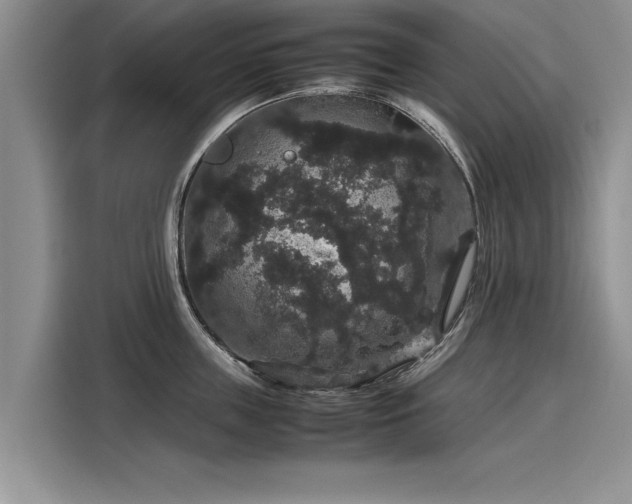 X0000116120859200911301326