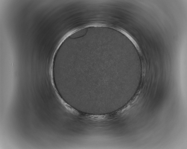 X0000116120861200911301326