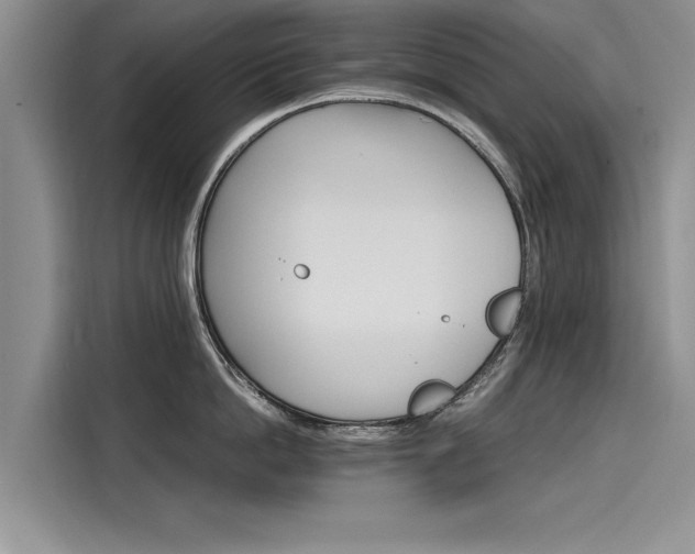 X0000116120862200911301326