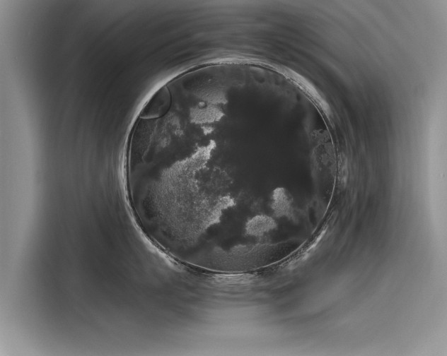 X0000116120863200911301326