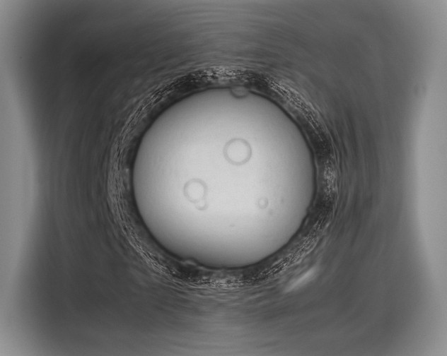 X0000116120865200911301325