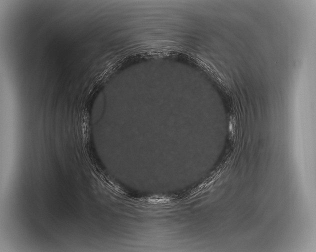 X0000116120867200911301325