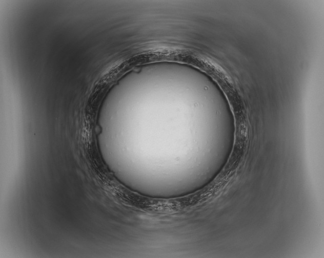 X0000116120869200911301325