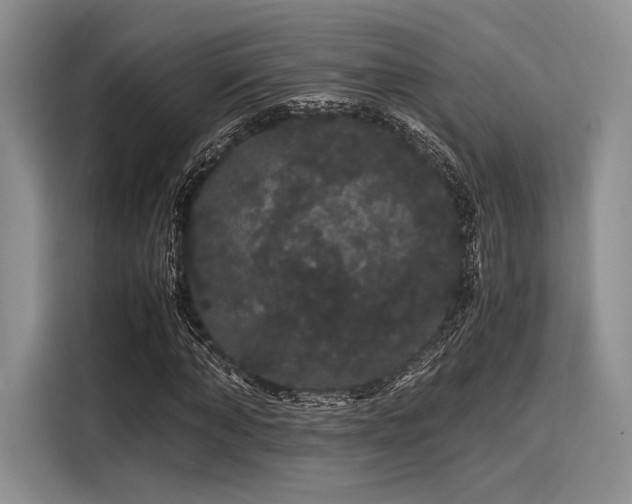 X0000116120870200911301325