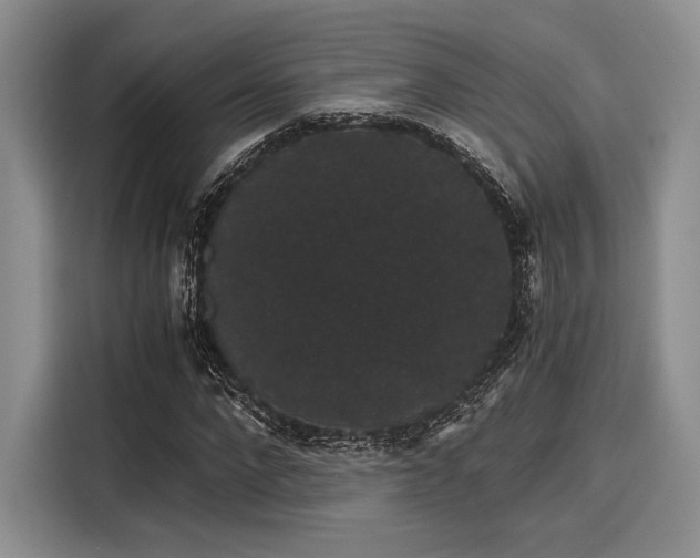 X0000116120872200911301325