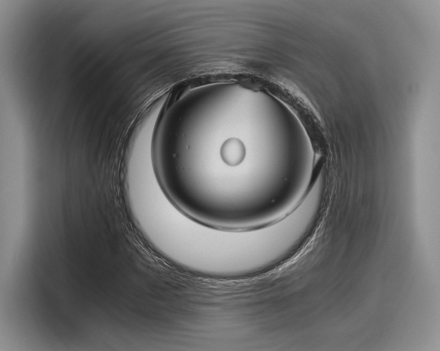 X0000116120873200911301325