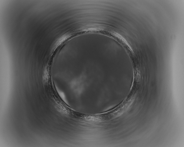 X0000116120874200911301325