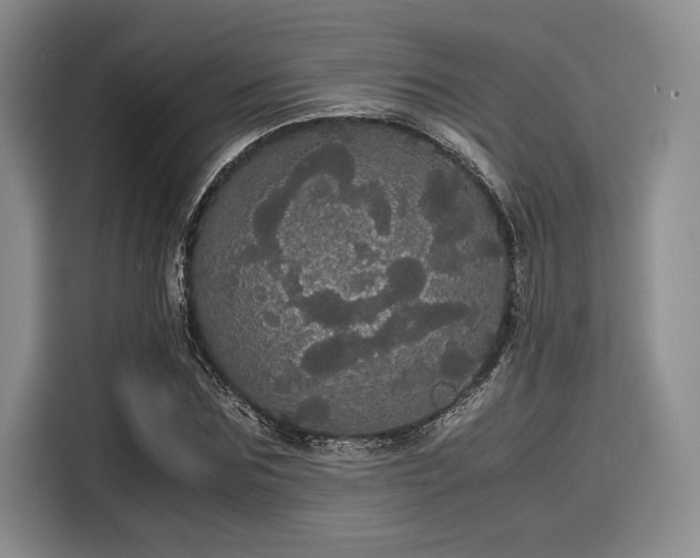 X0000116120875200911301325