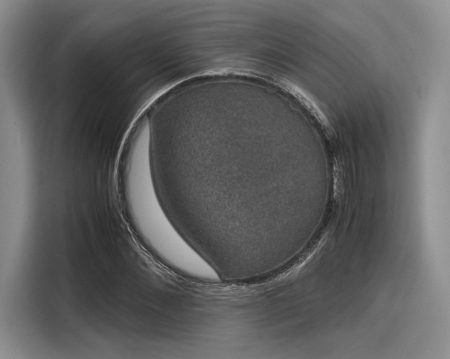 X0000116120876200911301325