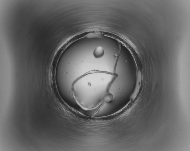 X0000116120877200911301325