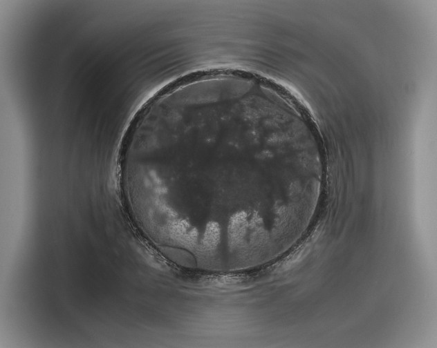 X0000116120879200911301325