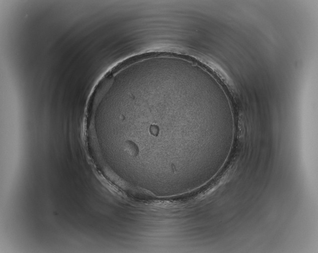 X0000116120880200911301325