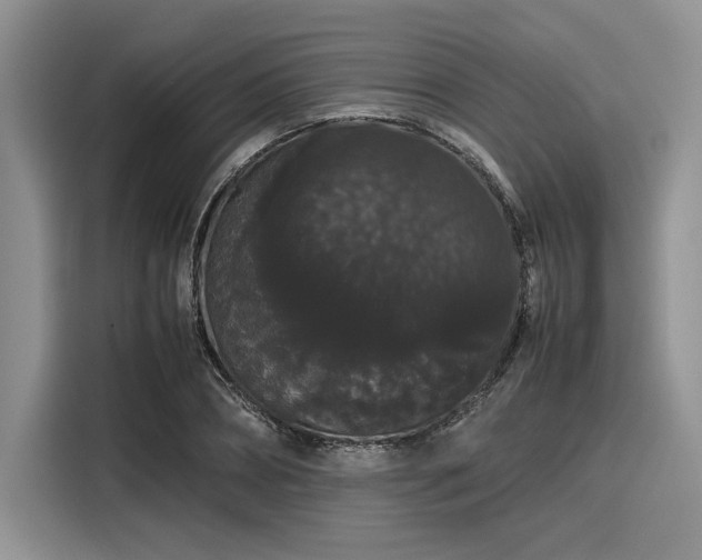 X0000116120882200911301325