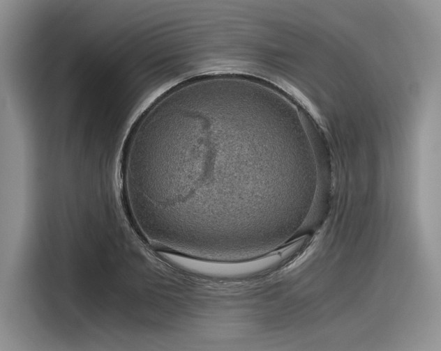 X0000116120885200911301325