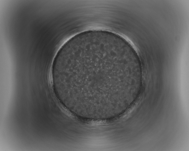 X0000116120887200911301325