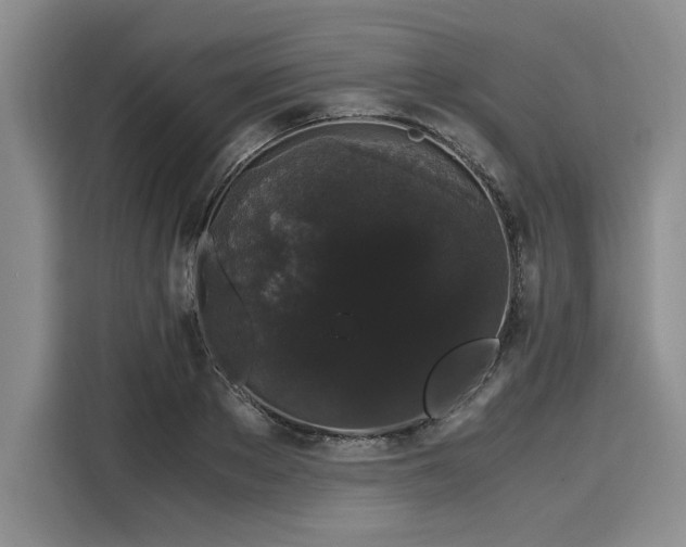 X0000116120889200911301325