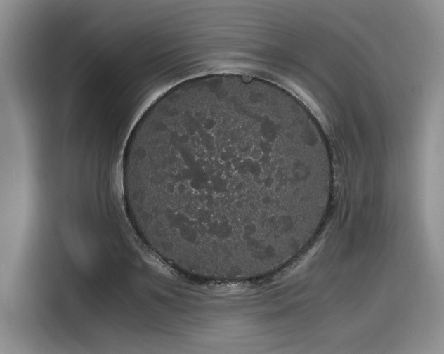 X0000116120891200911301325