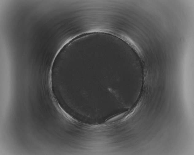 X0000116120892200911301325