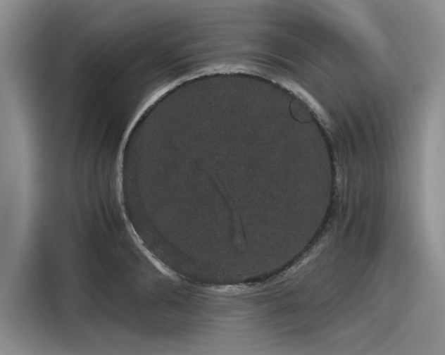 X0000116120894200911301325