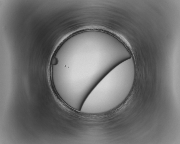 X0000116120895200911301325