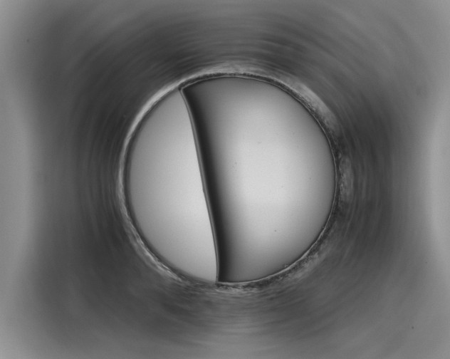 X0000116120896200911301325