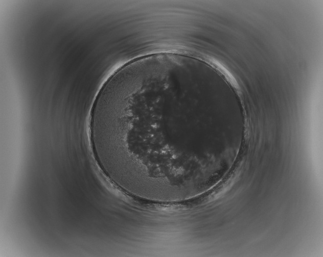 X0000116120899200911301325