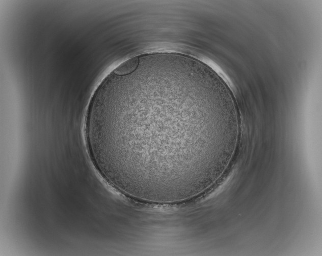 X0000116120901200911301324