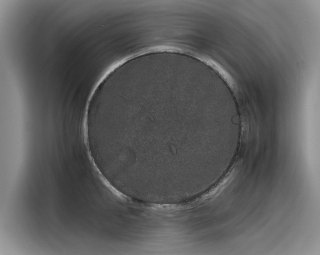 X0000116120902200911301324