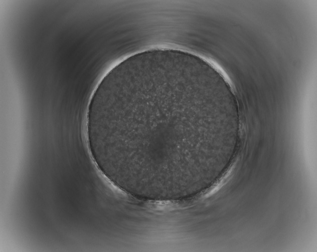 X0000116120903200911301324