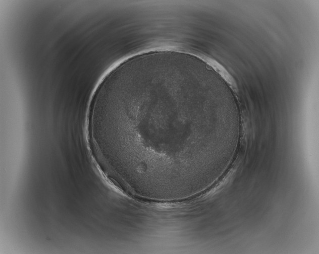 X0000116120904200911301324