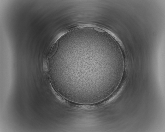 X0000116120905200911301324