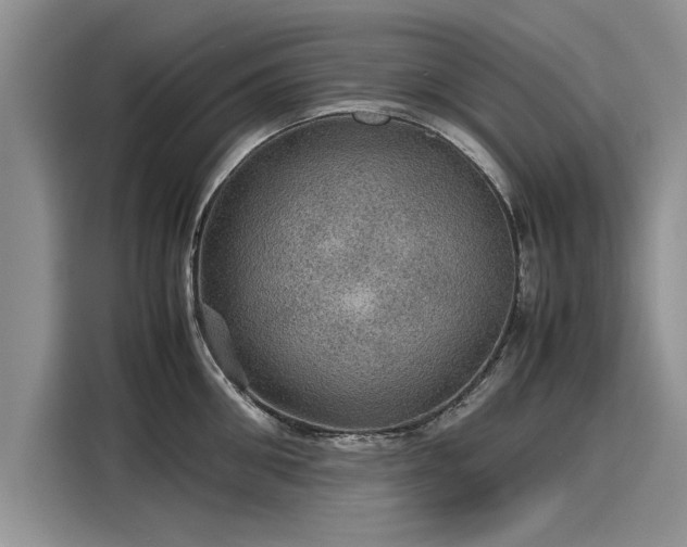 X0000116120906200911301324