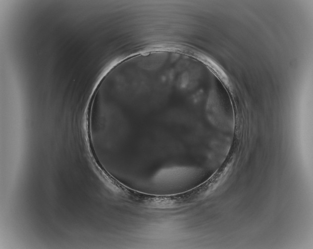 X0000116120907200911301324