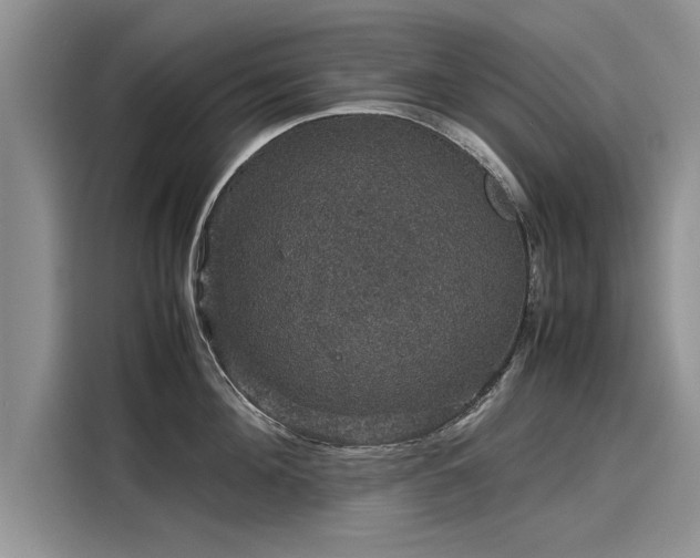 X0000116120908200911301324