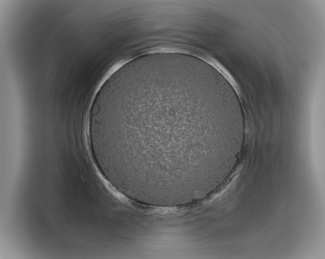 X0000116120909200911301324