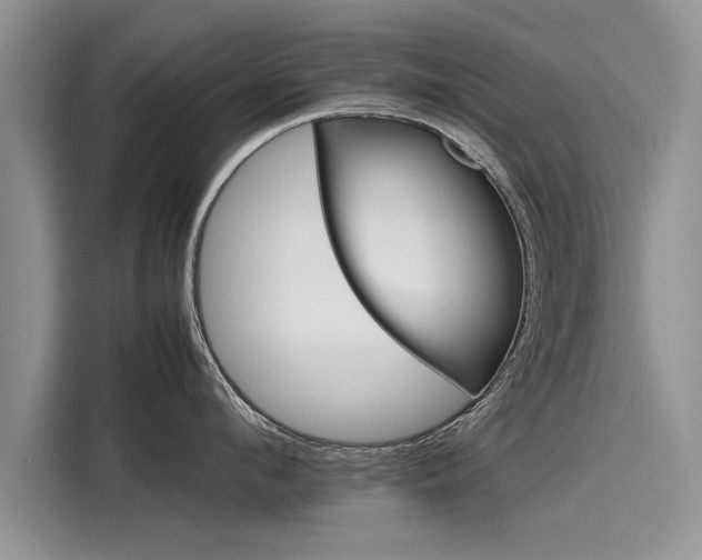 X0000116120912200911301324