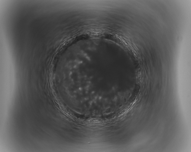 X0000116120913200911301324