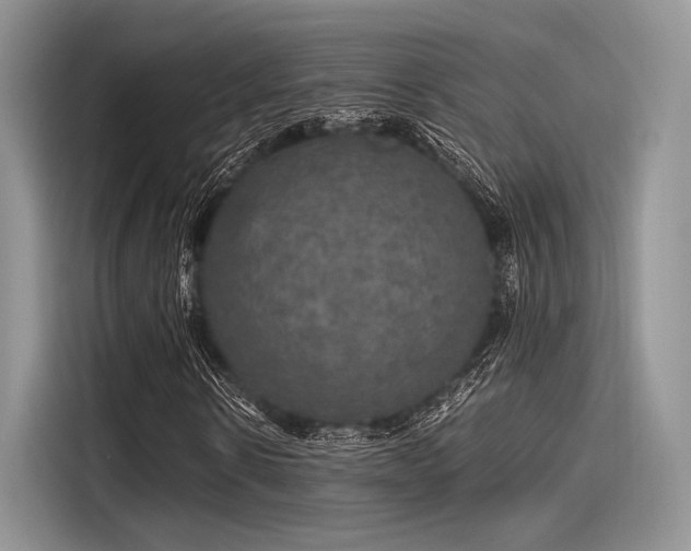 X0000116120914200911301324