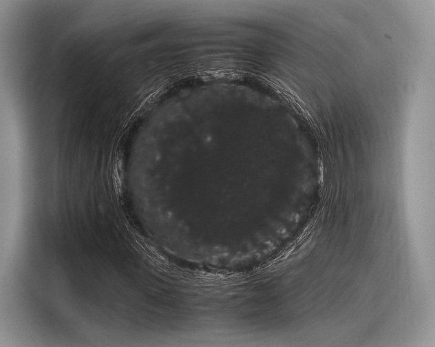 X0000116120915200911301324