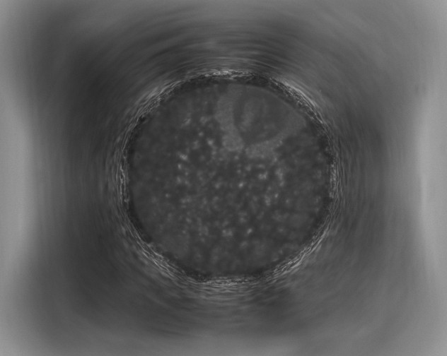 X0000116120917200911301324