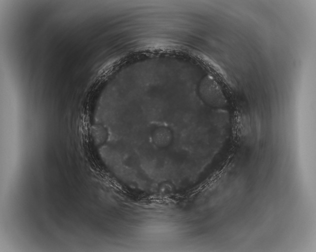 X0000116120918200911301324