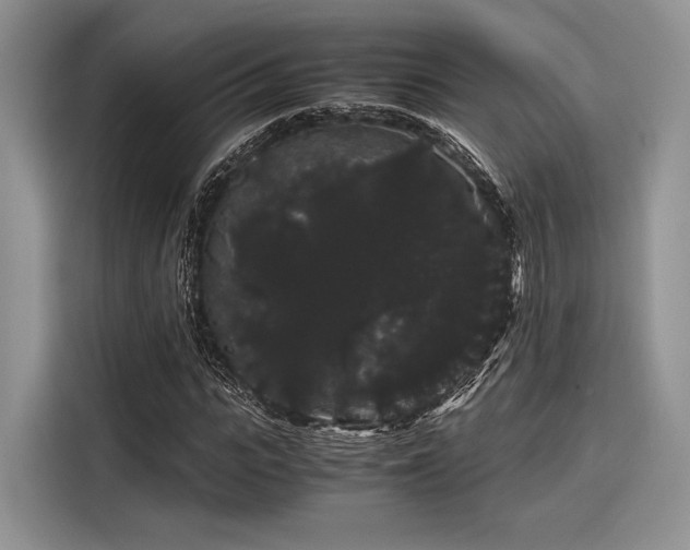 X0000116120919200911301324