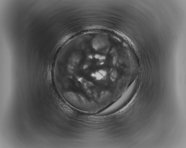 X0000116120921200911301324